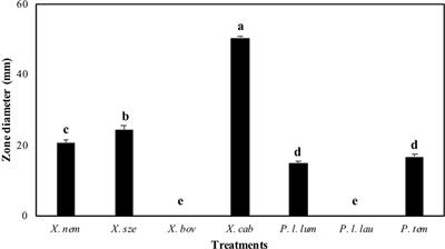 Nematode-Associated Bacteria: Production of Antimicrobial Agent as a Presumptive Nominee for Curing Endodontic Infections Caused by Enterococcus faecalis